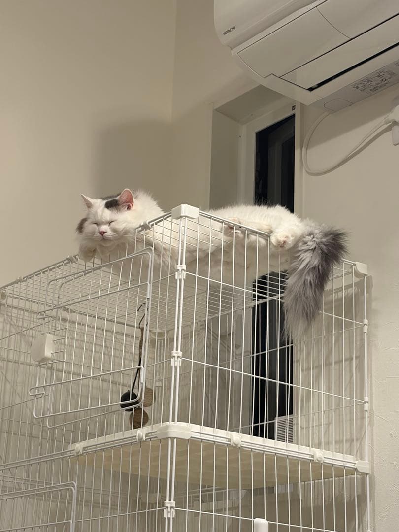 【ちゃる】キャットケージ ホワイト3段 トイレ付き タンスのゲン