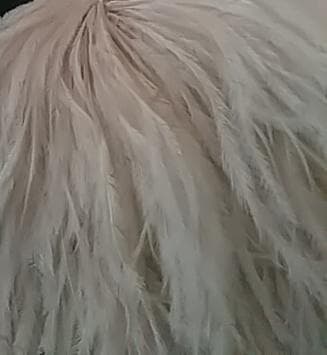 VERMEIL par iena オーストリッチ　コサージュ