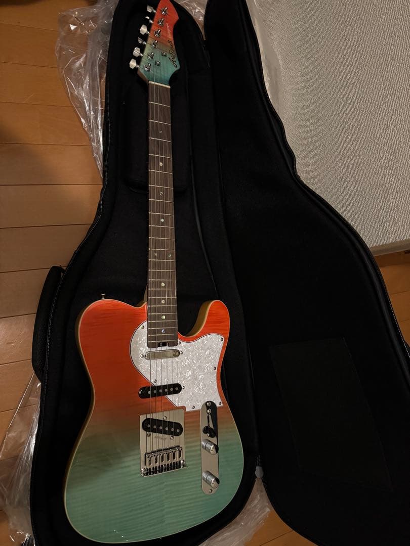 Aria Evergreen Aria Pro II限定モデルオリジナルケース付