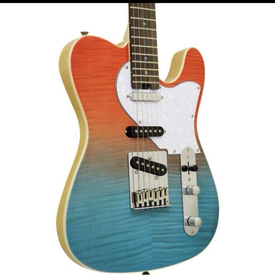 Aria Evergreen Aria Pro II限定モデルオリジナルケース付