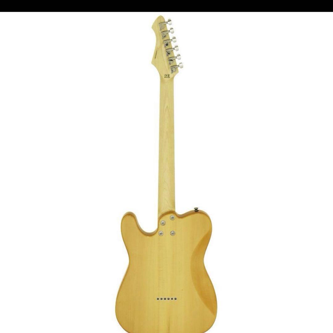 Aria Evergreen Aria Pro II限定モデルオリジナルケース付