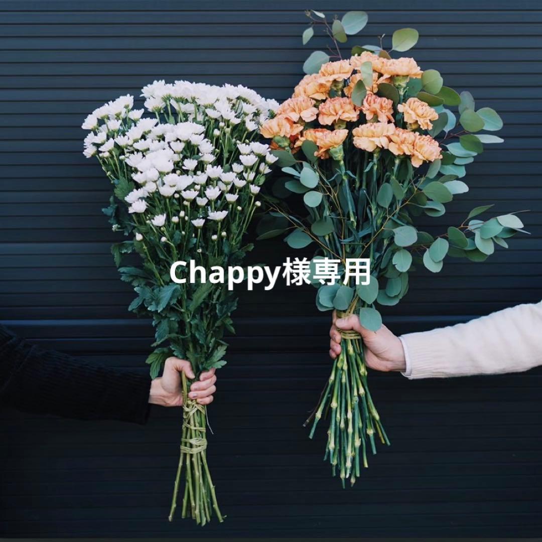 小物 Chappy