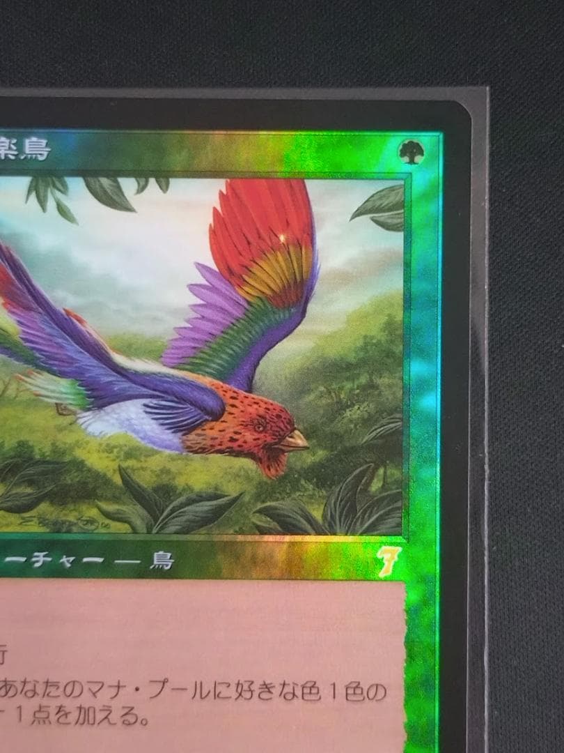MTG 極楽鳥/Birds of Paradise ７ED 日本語 foil