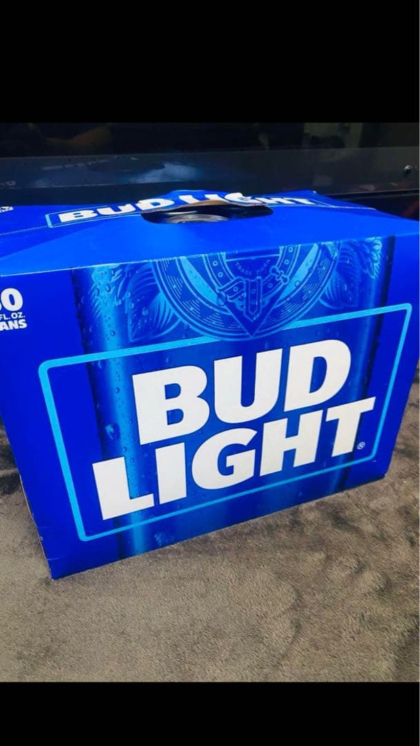 Bud LIGHT バドライト 355ml × 30缶