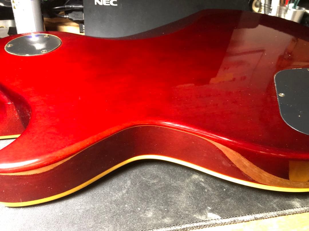 【ハチワレ猫さま専用】AriaProⅡ PE-DLX