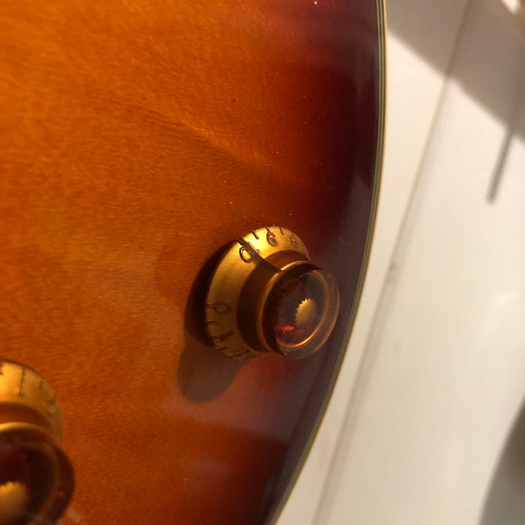 【ハチワレ猫さま専用】AriaProⅡ PE-DLX