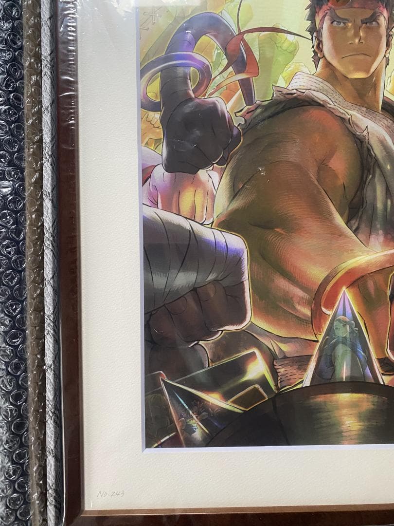 ストリートファイター 30th 額装グラフィックアート シリアルナンバー入り