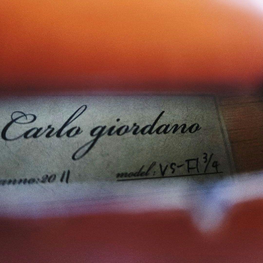 Carlogiordano VS-F1 3/4 カルロジョルダーノ バイオリン