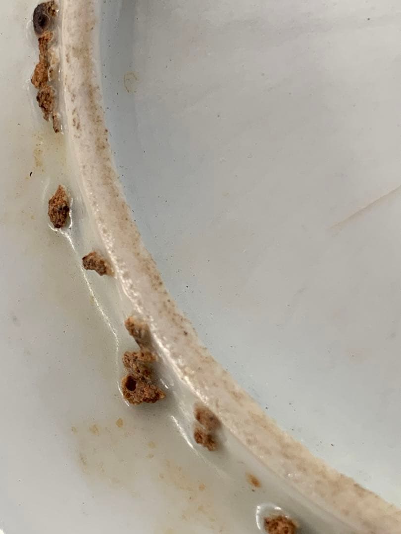 中国清時代早期染付お皿