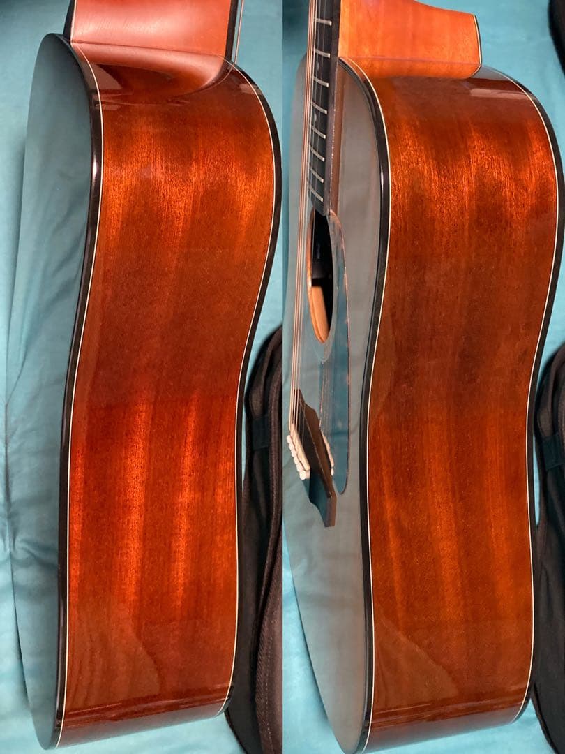 Morris M-351 NAT モーリスアコースティックギター