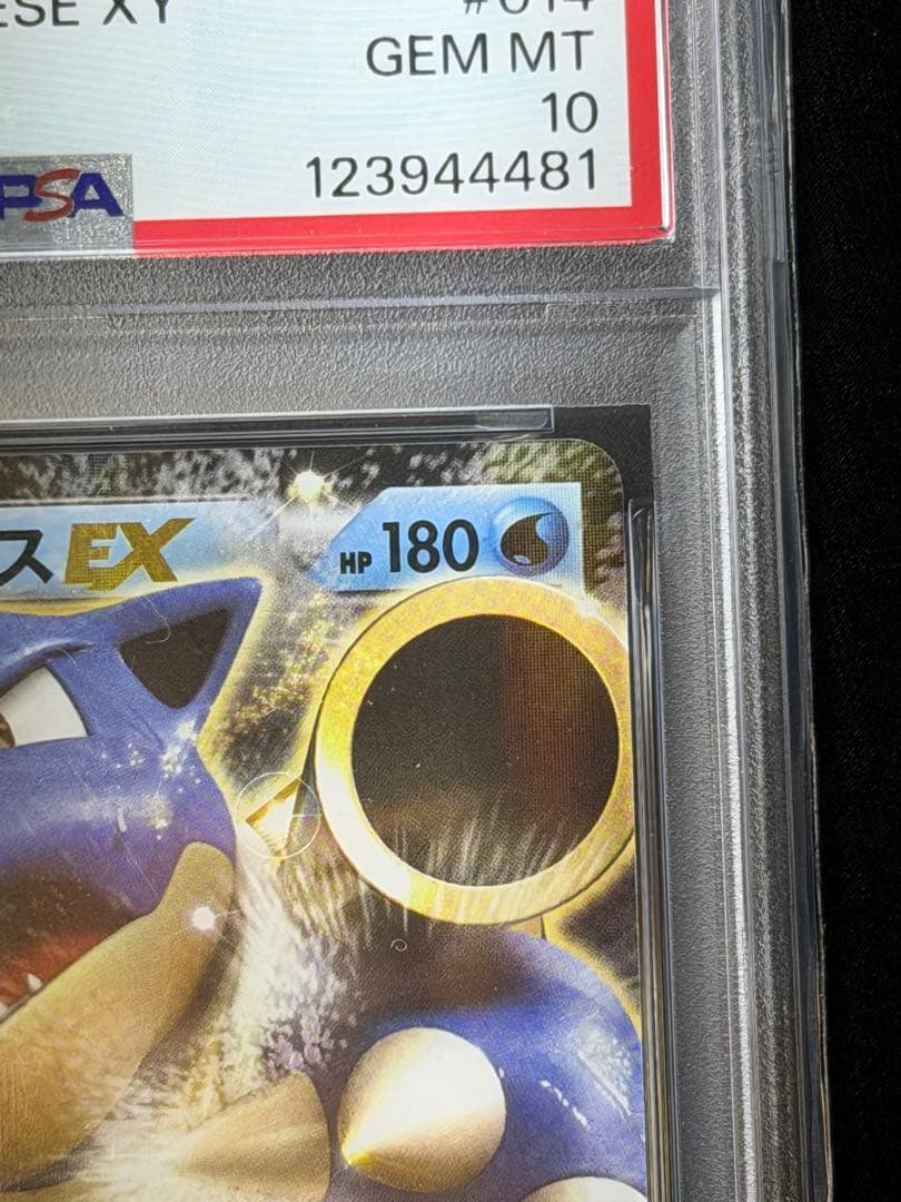【PSA10】ポケモンカード カメックスEX RR 014/060 希少品