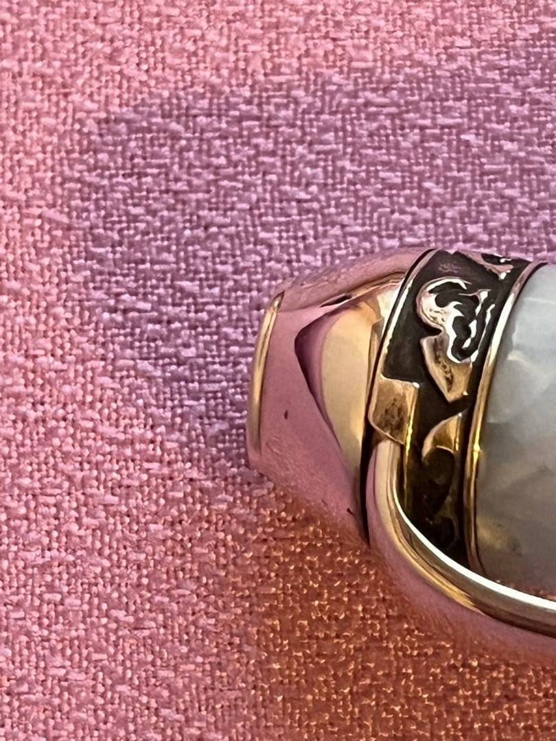 ☆説明確認の上購入してください☆アウロラ 万年筆 オチェアーノ アルティコ F