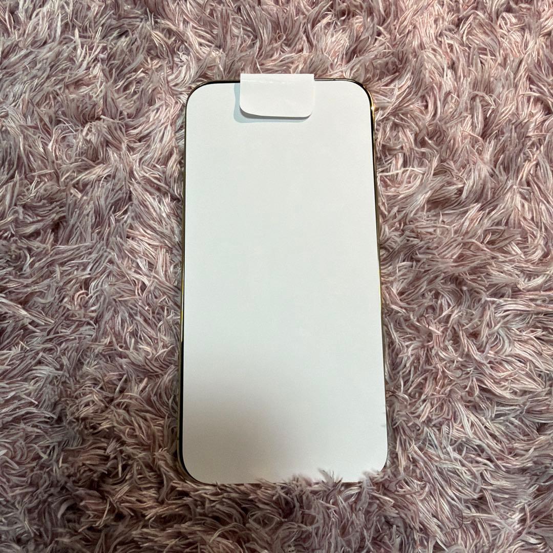 iPhone13ProMax エクスプレス交換品　新品