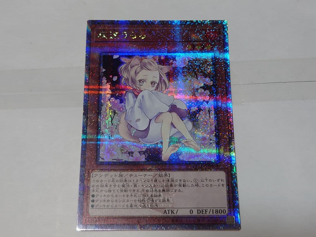 遊戯王　灰流うらら　絵違い　クオシク