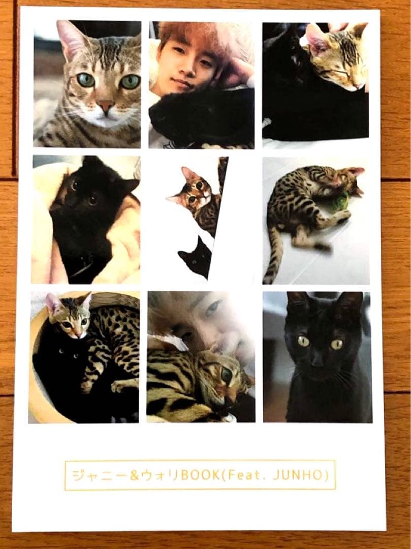 2PM ジュノ ジャニウォリBOOK HYPER