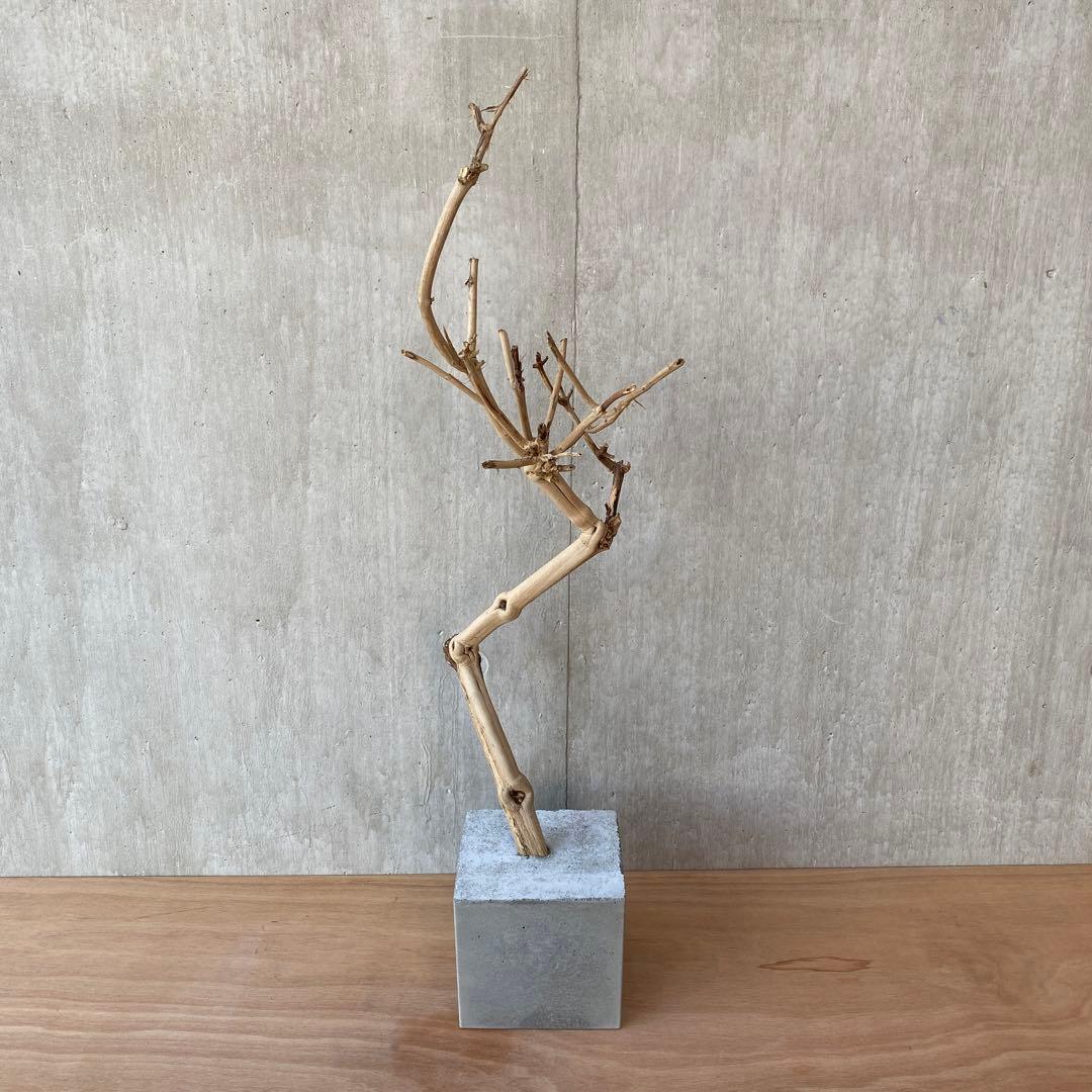 【コンクリート盆栽 流木オブジェ】ディスプレイ アート インテリア 鍵 爬虫類