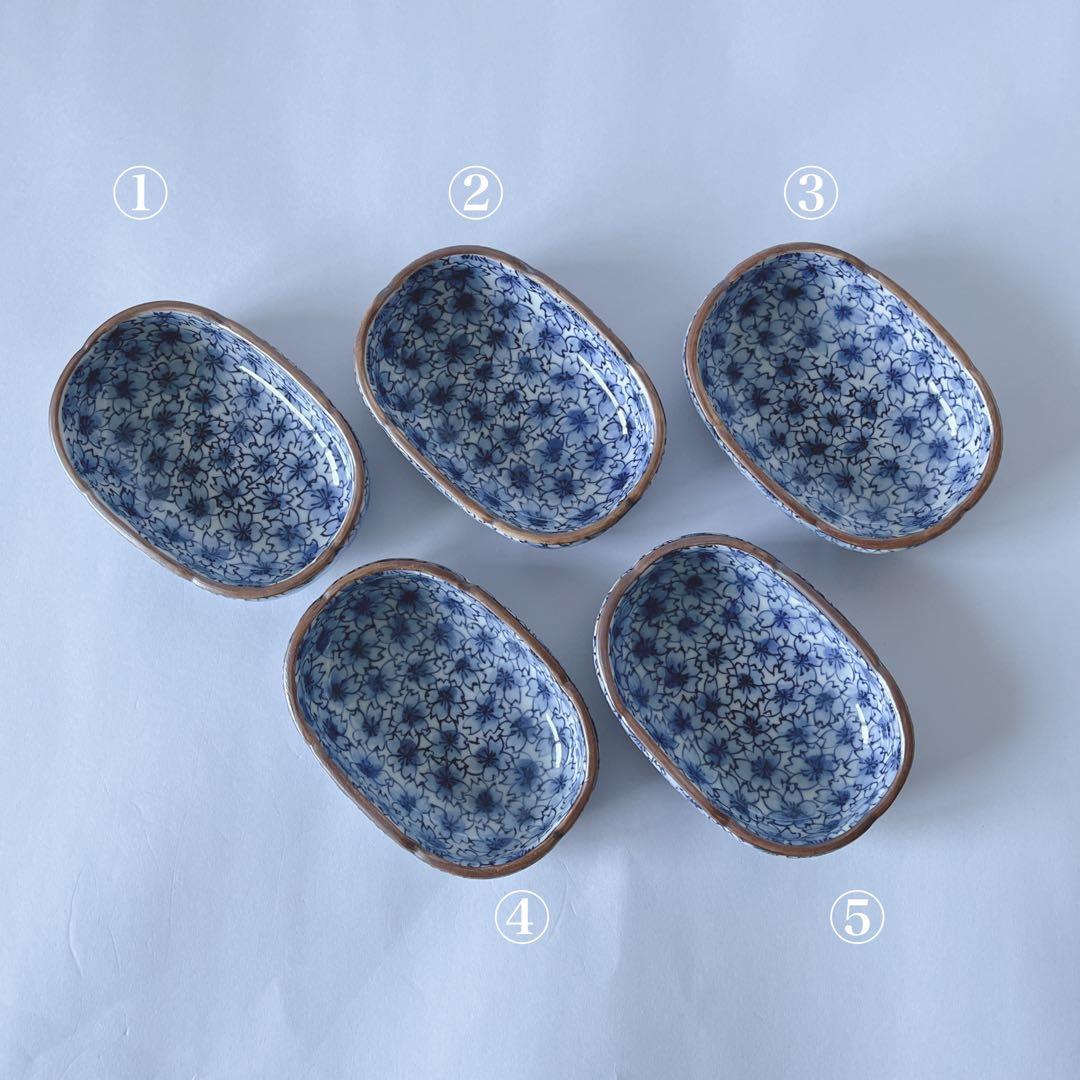 京焼　清水焼　正峰窯　染付桜尽　向付