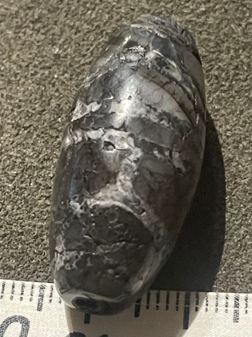 出土　双亀甲天珠