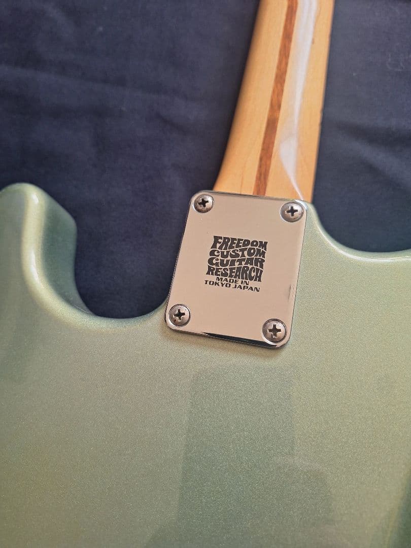 Fender Mexico スタンダード ストラト　D.Allen PU