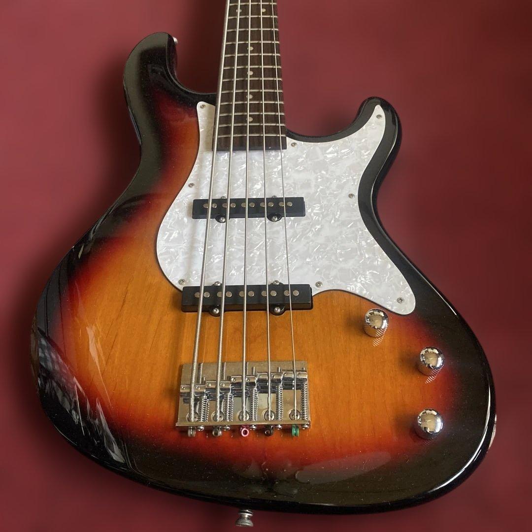 フェルナンデス5弦ベース