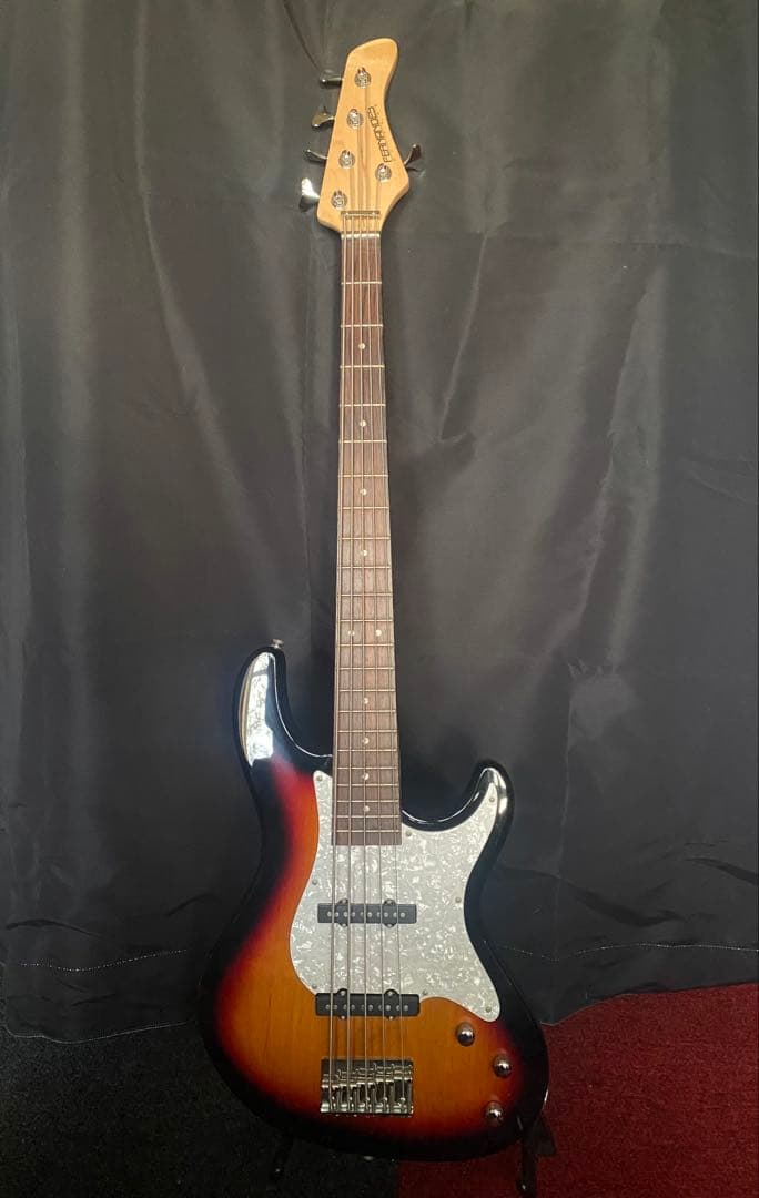 フェルナンデス5弦ベース