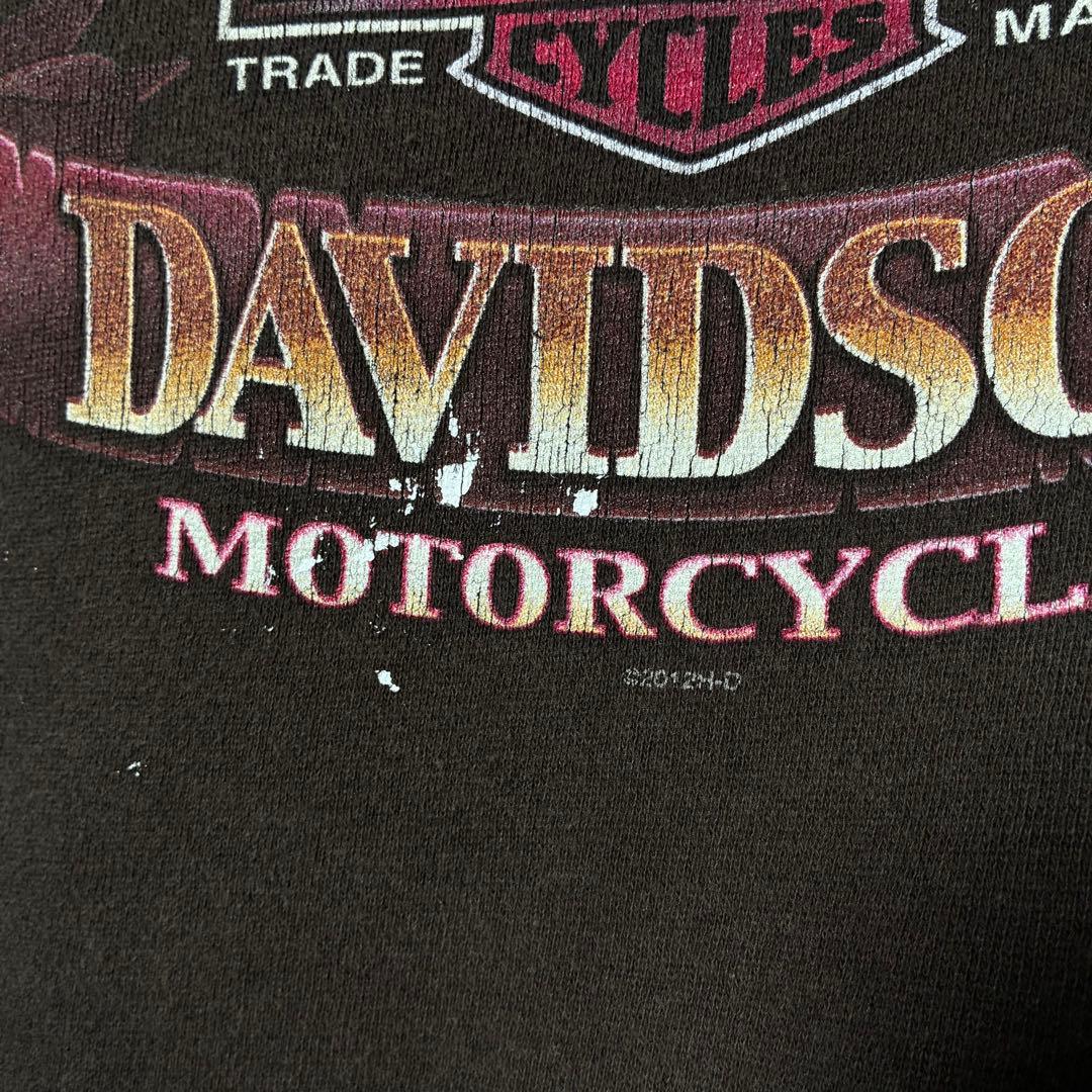 HARLEY-DAVIDSON プルオーバーパーカー　袖プリント　No1 スカル