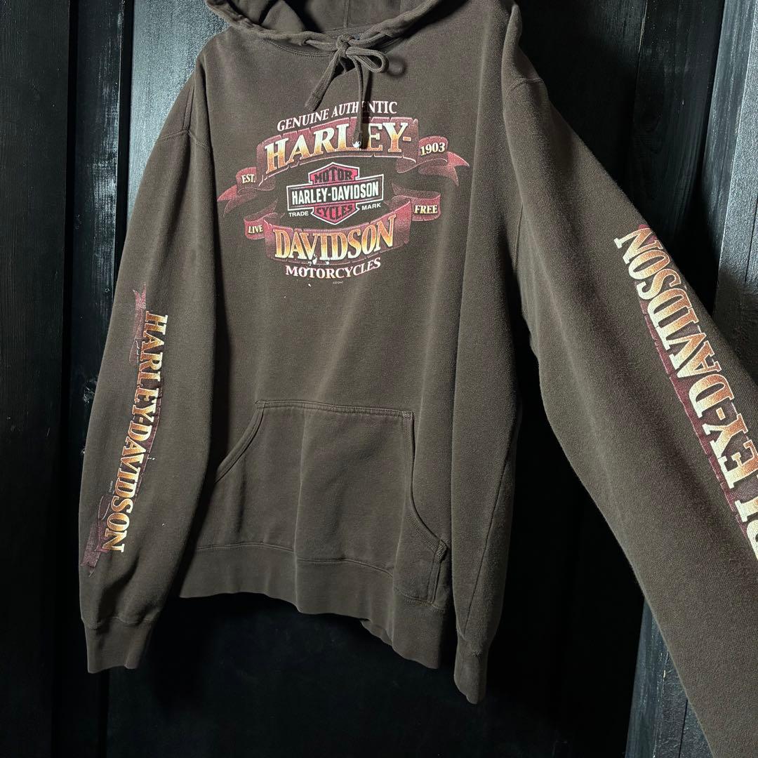 HARLEY-DAVIDSON プルオーバーパーカー　袖プリント　No1 スカル