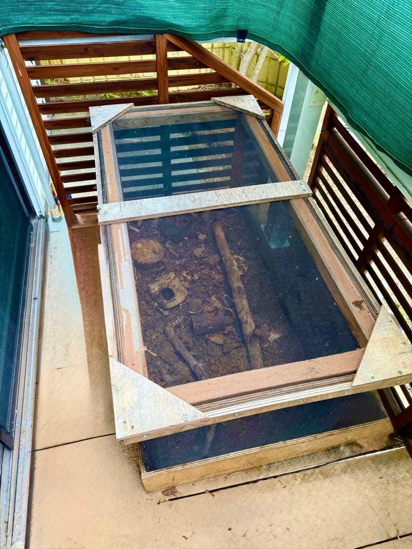 【引き取り限定／奈良近郊】繁殖実績あり｜カブトムシ用 手作り大型飼育ハウス