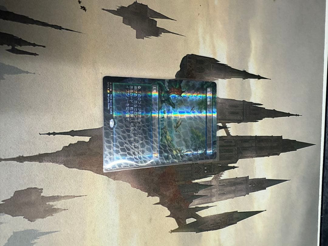 MTG ドラゴンスケイル・Foil 霧深い雨林