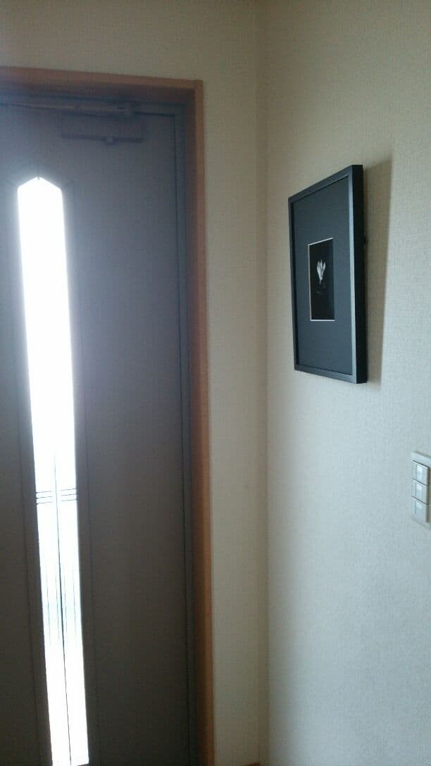 花「暗闇の一輪・・・シクラメン」