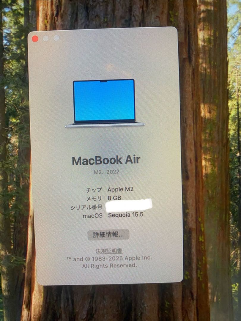 Apple MacBook Air M2本体 シルバー　8GB 256GB