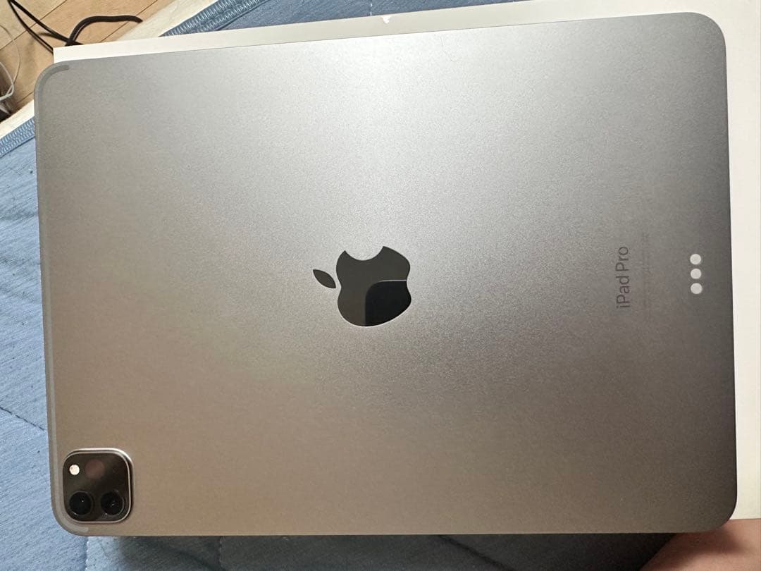 ヤンくん iPad Pro 第4世代11インチ256GB Wi-Fiモデル