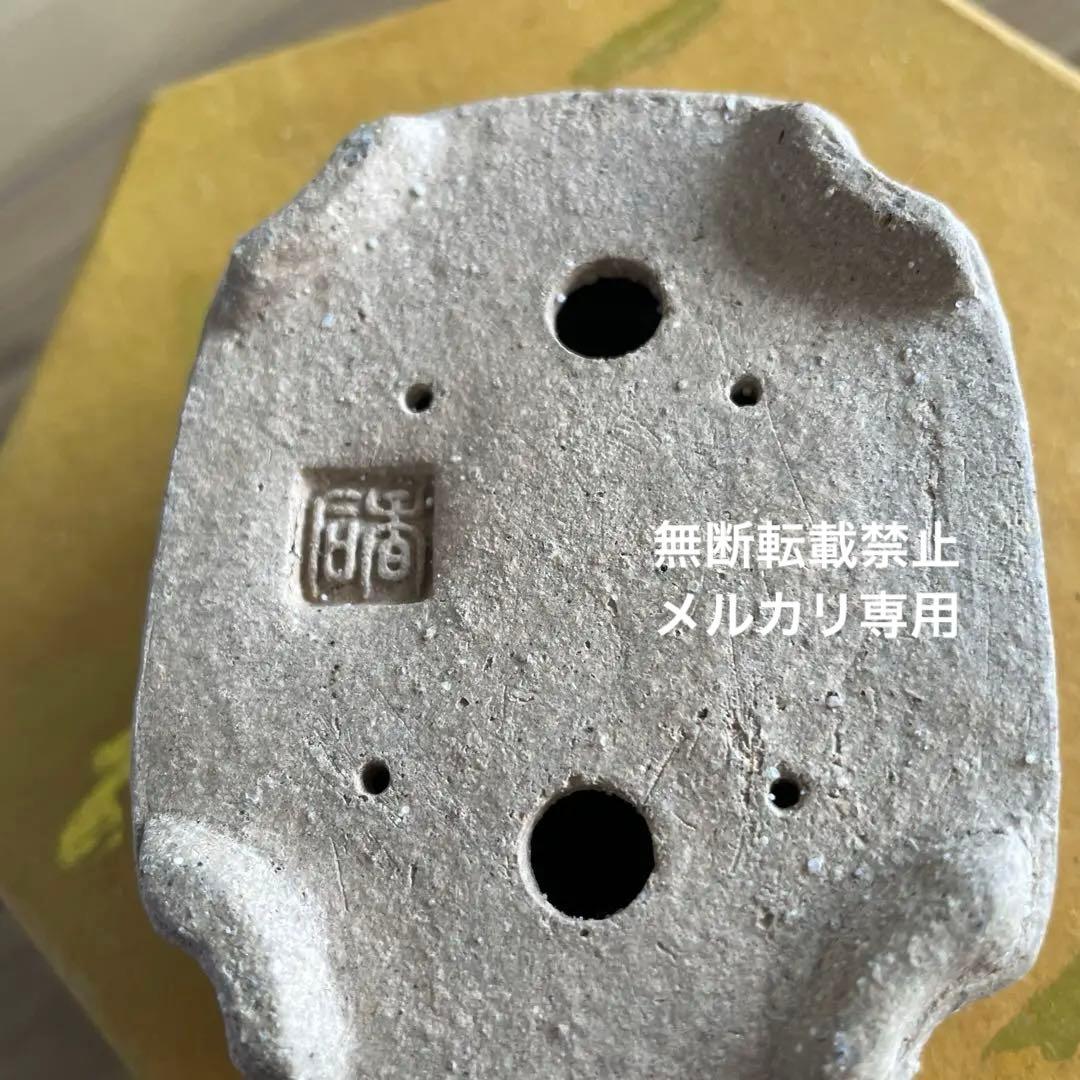 ミニ盆栽鉢　桑津香石　絵鉢　長方形　鳥　小品盆栽