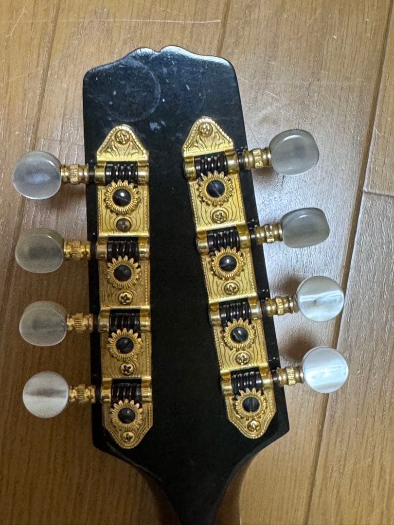 Gibson Mandolin A-5L 1989年