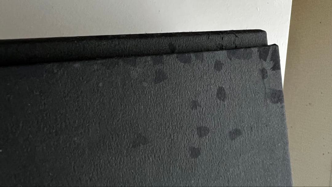 BUCK-TICK　櫻井敦司プロデュース 招き猫