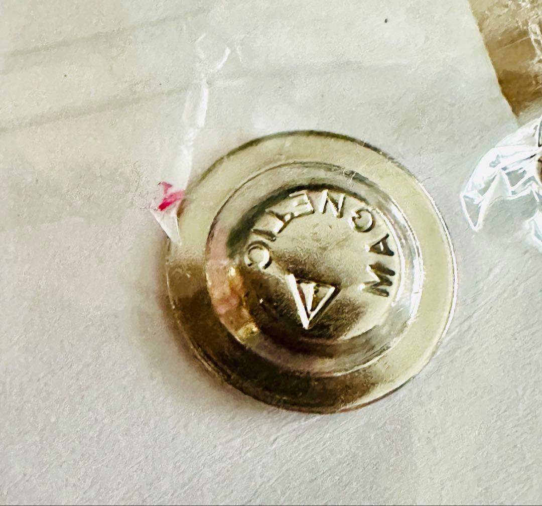 EXPO 2025 インド バーラト ピンバッジ マグネットタイプ