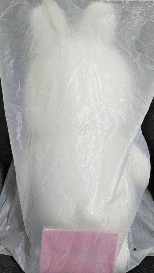 テディベア ぬいぐるみ teddybear SKZOO リービット　リノ