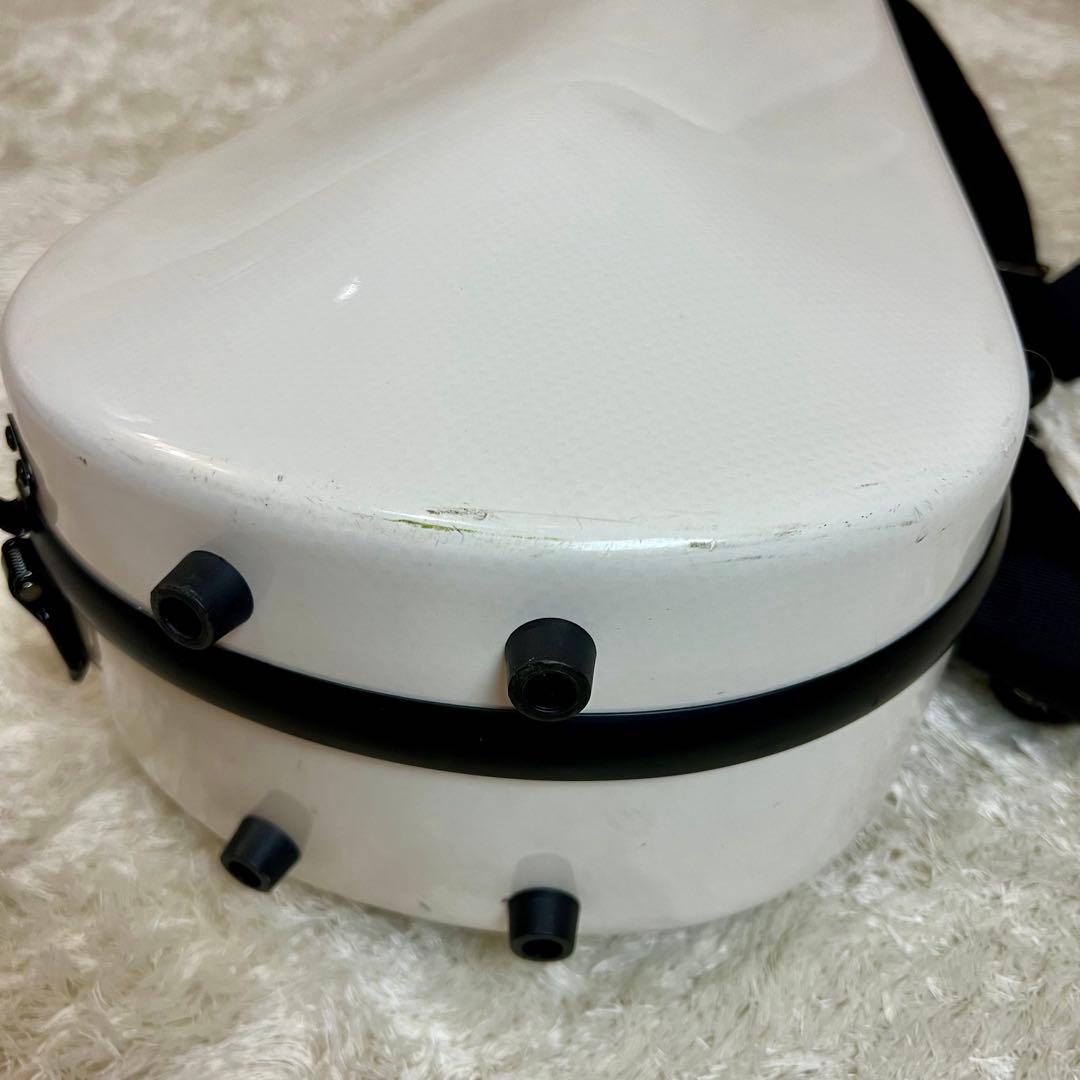 HORA Reghin ヴァイオリン 4/4 バイオリ Carbon Mac