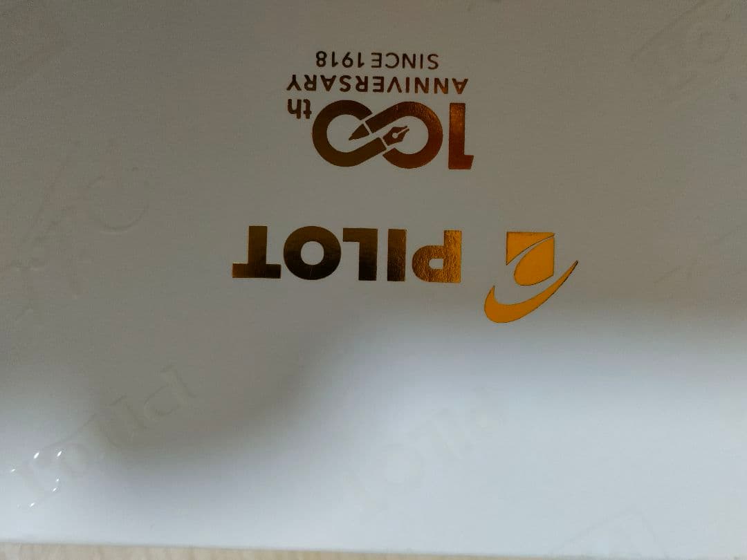 【新品未使用、非売品】PILOT 100周年記念 万年筆 黒 14K