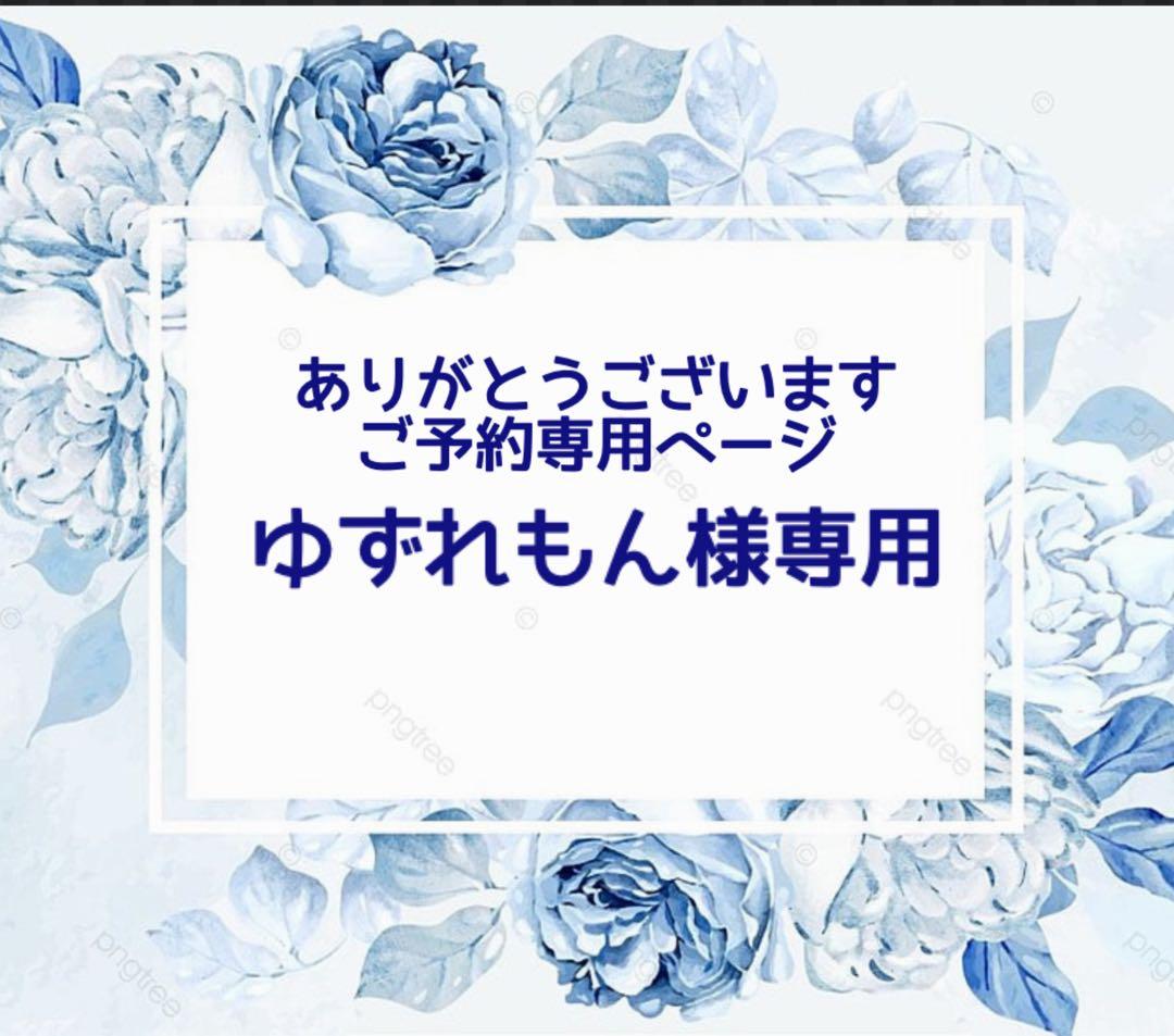 ゆずれもん/秋晴れの空と子犬　蓄光　オルゴナイトキーホルダー