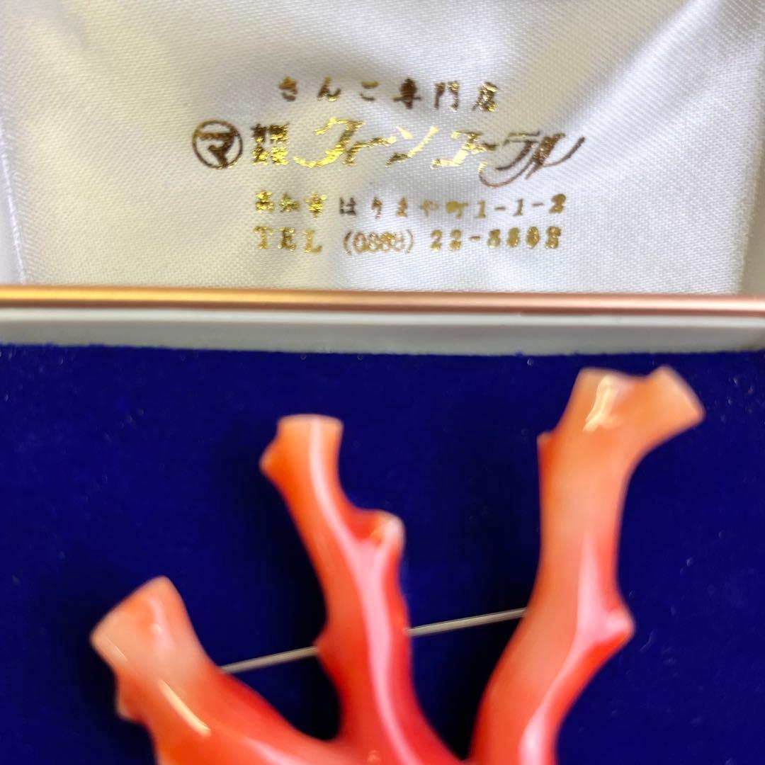 本珊瑚 珊瑚 枝珊瑚 さんご ブローチ 高知 総重量 12.7g