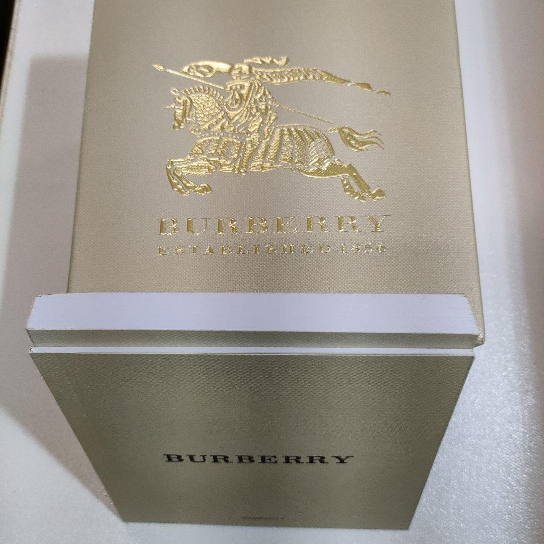 【超美品】Burberry 新品電池 南極点初到達記念ウォッチ　BU7503