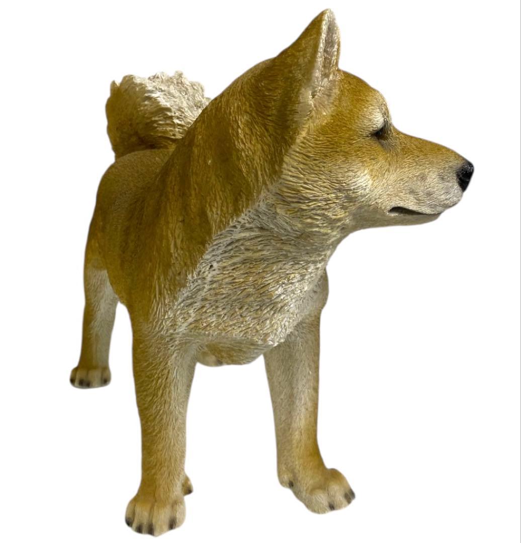 リアル！本物そっくり！ 等身大！？ 柴犬　置物　25オ411