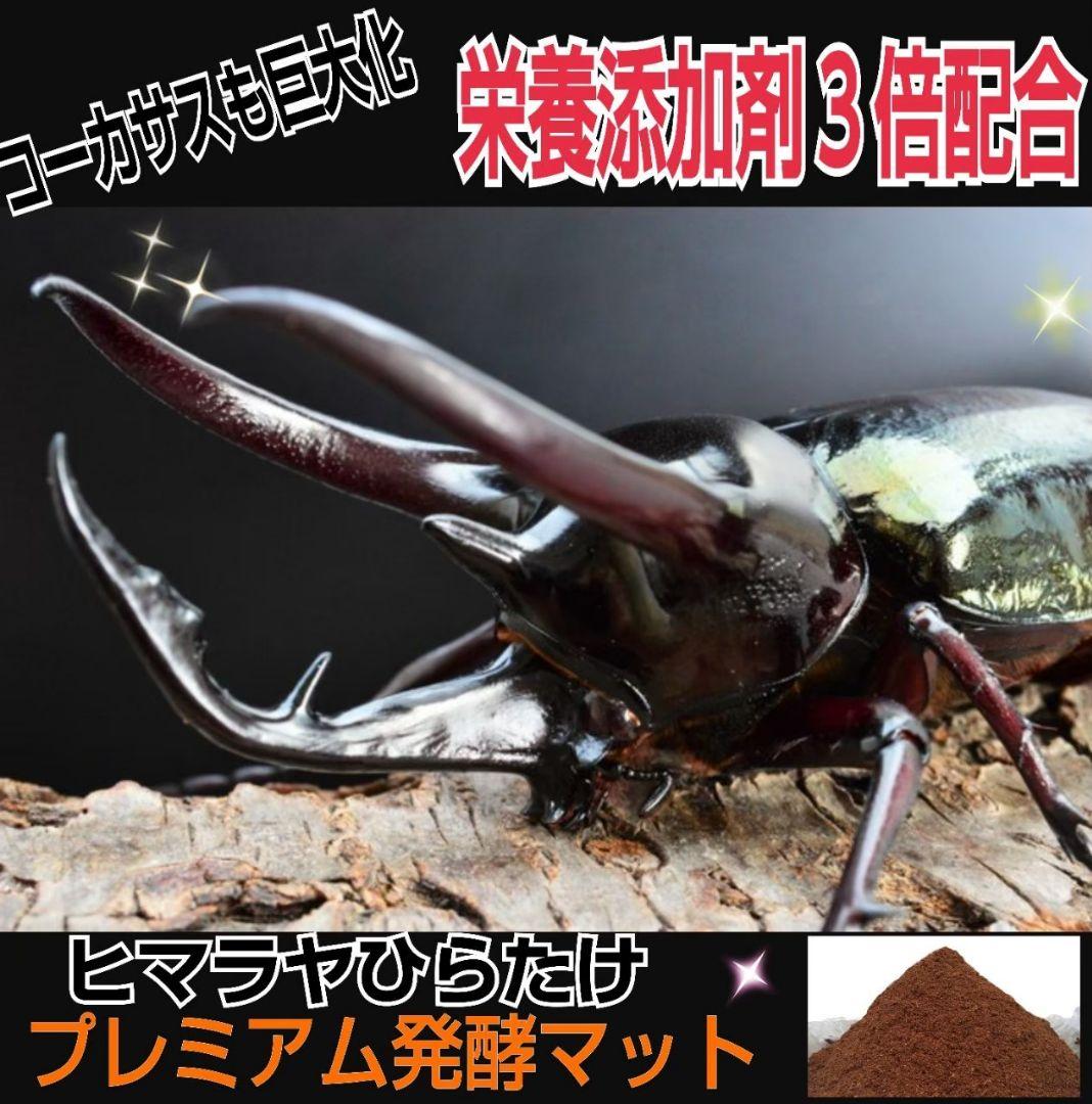 極上！プレミアム3次発酵カブトムシマット【6袋】特殊アミノ酸強化！ギネス級連発！