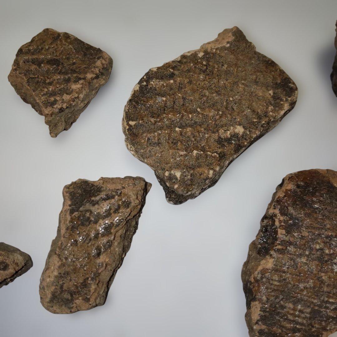 ★本物の縄文土器★(新潟県出土)①、15点