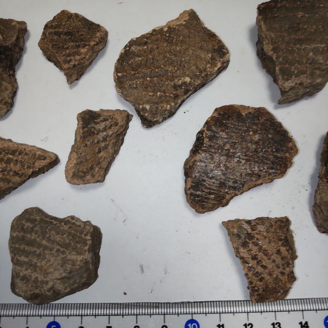 ★本物の縄文土器★(新潟県出土)①、15点