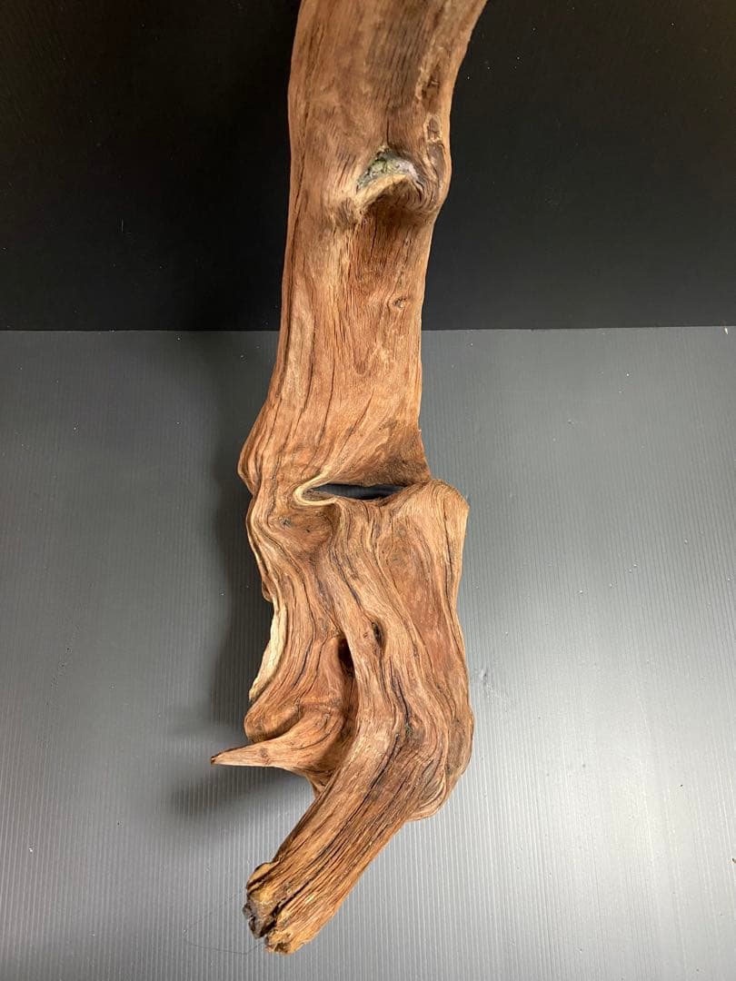 流木　大型　ホーンウッド　アクアリウム用