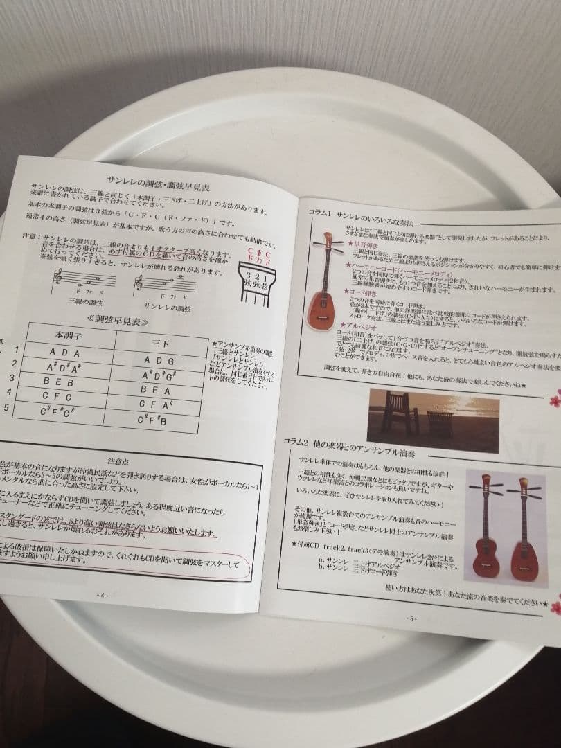 沖縄楽器 サンレレ