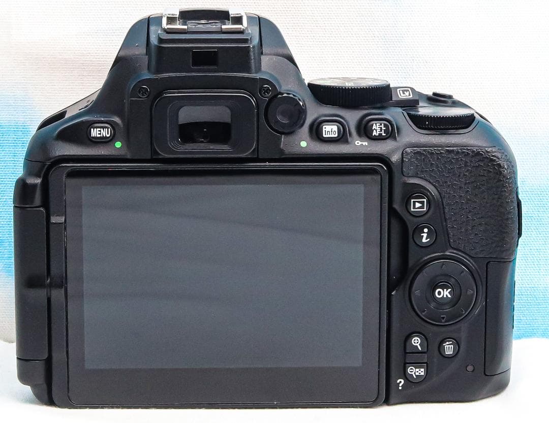 美品 ニコン Nikon D5600⭐️スマホ転送機能付⭐️高性能一眼レフ⭐️