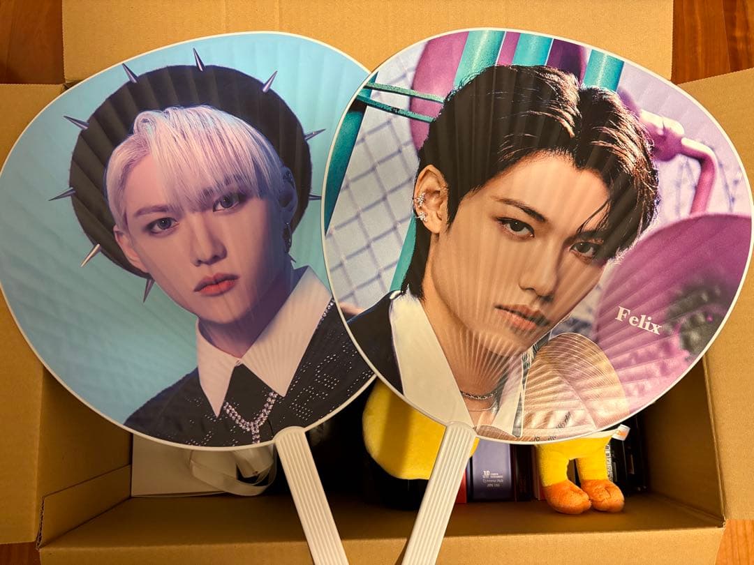 Stray Kids アルバム・ペンライト・うちわ・SKZOOセット